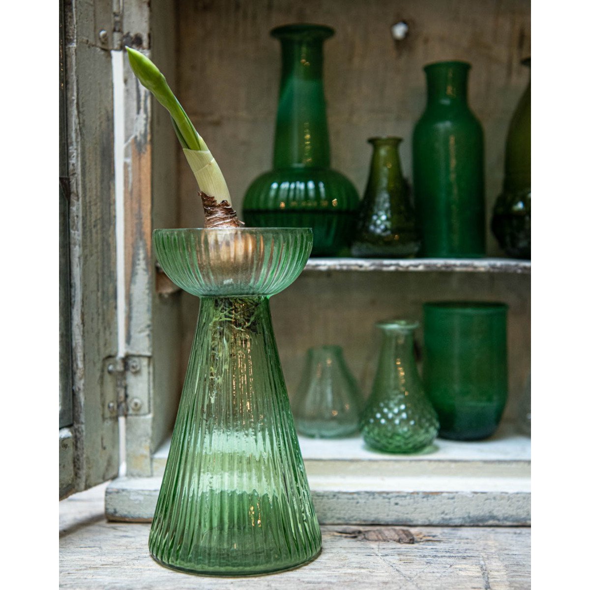 Hyazinthenvase grün